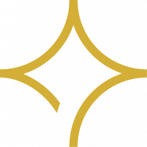 Favicon (1)